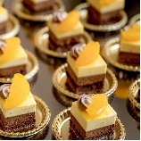 スタイリッシュウェディング　ヴィーナスコート　長野のブライダルフェア画像