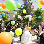 スタイリッシュウェディング　ヴィーナスコート　長野のフェア画像