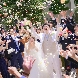 スタイリッシュウェディング ヴィーナスコート 長野のフェア画像