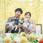 スタイリッシュウェディング　ヴィーナスコート　佐久平のフェア画像