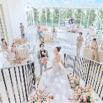 アニヴェルセル 柏のフェア画像