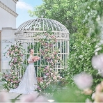 アニヴェルセル 柏のフェア画像