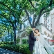 アニヴェルセル 表参道のフェア画像
