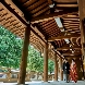 FOREST TERRACE　明治神宮・桃林荘のフェア画像