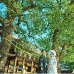 FOREST TERRACE　明治神宮・桃林荘のフェア画像