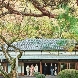 ＦＯＲＥＳＴ　ＴＥＲＲＡＣＥ　明治神宮・桃林荘のフェア画像