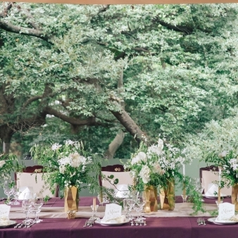 FOREST TERRACE　明治神宮・桃林荘のフェア画像