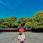 FOREST TERRACE　明治神宮・桃林荘のフェア画像