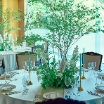 FOREST TERRACE 明治神宮・桃林荘のフェア画像