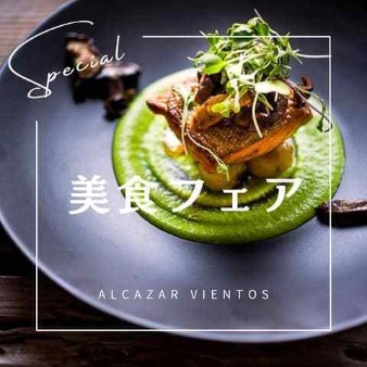 アルカーサル　ビエントスのフェア画像