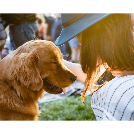 アルカーサル　ビエントス：愛犬と誓う大切な1日☆ペット同伴演出体験×安心相談会♪