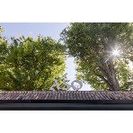 リストランテＡＳＯのフェア画像