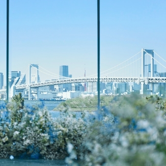 ヒルトン東京お台場のフェア画像