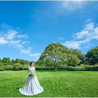 結婚式場：＼連休特別／緑×光の感動挙式体験×4万豪華試食×最大120万特典