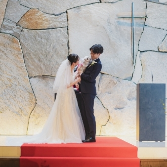 Mia Viaのフェア画像