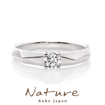 ＦＩＲＳＴ　ＤＩＡＭＯＮＤ　静岡彫金工房:NATURE【It never melt's】