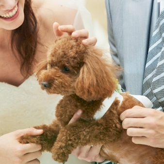 ア・ラ・モード パレ＆ザ・リゾート:【愛犬愛猫と一緒に】ペットwedding＊挙式＆パーティープラン(50名148万）