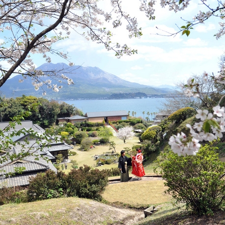 マナーハウス島津重富荘：【月1BIG×先着3組様限定】桜×桜島×美食試食×ベストレート