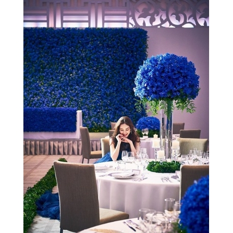 マナーハウス島津重富荘：【月・木・金曜限定】まるごと貸切見学×3万円相当フレンチ試食