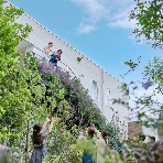 HILLTOP THE SQUARE (ヒルトップ ザ スクエア)のフェア画像