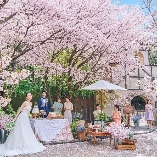 ディアズ水戸スパニッシュガーデンのブライダルフェア画像