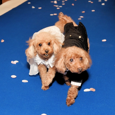 ヴァレリアーノ：【大切なワンちゃんと一緒に】問い合わせ多数！挙式＆演出◎