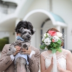 神戸ポートピアホテルのフェア画像