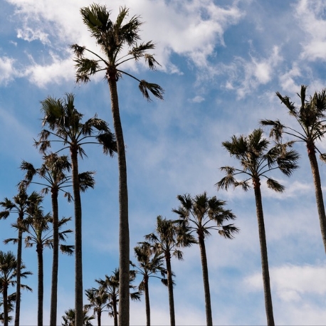 リビエラ逗子マリーナ：当日予約OK！【90分完結】タイパ重視の方に◎