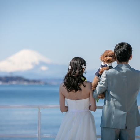 リビエラ逗子マリーナ：【ペット婚】愛犬と叶える海辺のリゾートウェディング相談会