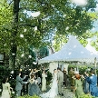 フェリーチェガーデン日比谷（日比谷公園内）：＼来年4月以降／最大60万優待！30～40名で楽しむガーデンW