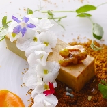 アイネスヴィラノッツェ宝ヶ池のブライダルフェア画像