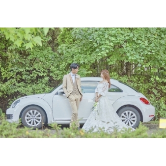 マリエール　ガーデン　バーベナ　（Ｍａｒｒｉｙｅｌｌ　Ｇａｒｄｅｎ　Ｖｅｒｂｅｎａ）のフェア画像