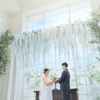 マリエール ガーデン バーベナ (Marriyell Garden Verbena)のフェア画像