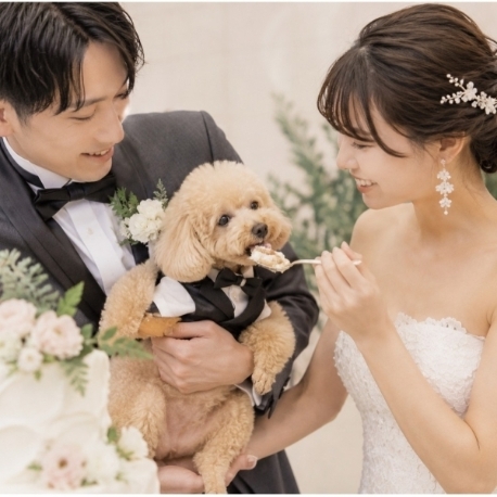 マリエール　ガーデン　バーベナ　（Ｍａｒｒｉｙｅｌｌ　Ｇａｒｄｅｎ　Ｖｅｒｂｅｎａ）：《 ペットＯＫ》 大切な家族と叶える愛犬演出＆相談会×美食体験