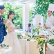 マリエール ガーデン バーベナ (Marriyell Garden Verbena)のフェア画像