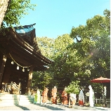 浜松八幡宮　楠倶楽部のブライダルフェア画像