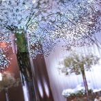 浦安ブライトンホテル東京ベイのフェア画像