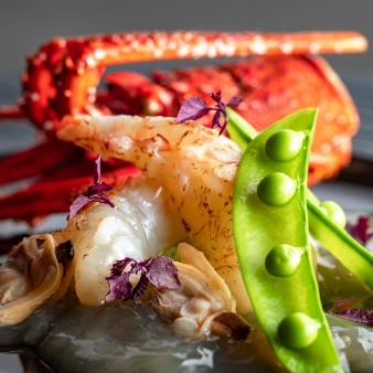 THE　GARDEN　PLACE　SOSHUEN（蘇州園）のフェア画像