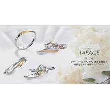 hirai art gallery（ヒライアートギャラリー）:LAPAGE ラパージュ マリーゴールド 結婚指輪 【ヒライアートギャラリー】