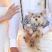 【大切な家族と過ごす一日を】家族の一員である愛犬との結婚式をご希望の方におすすめフェア♪経験豊富なプランナーが実例写真を交えて安心して過ごせる一日をご提案いたします！