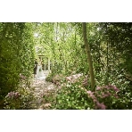 Ｒｏｕｇｅ　Ｂｌａｎｃ（ルージュ：ブラン）のフェア画像