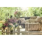 Ｒｏｕｇｅ　Ｂｌａｎｃ（ルージュ：ブラン）のフェア画像