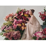 Ｒｏｕｇｅ　Ｂｌａｎｃ（ルージュ：ブラン）のフェア画像