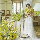 Ｏｒａｎｇｅ　Ｖｅｒｔ（オランジュ：ベール）のブライダルフェア画像