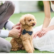 Ｒｏｕｇｅ　Ａｒｄｅｎｔ（ルージュアルダン）:【ペットも大切な家族♪】ペットと一緒に結婚式を過ごしたいカップルへ