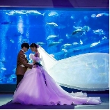 鳥羽国際ホテルのブライダルフェア画像