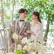 アルコラッジョ(arcoraggio)のフェア画像