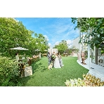 Ａｒｇｅｎｔ　Ｐａｒｍｅ（アージェントパルム）のフェア画像