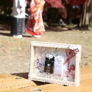 玉姫殿 上田迎賓館：【日本が誇る伝統】神社婚プラン相談会