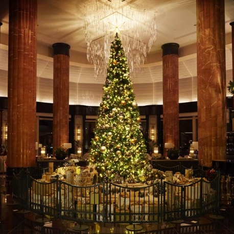 ウェスティンホテル東京：Westinで叶える贅沢Xmas×フィレステーキロッシーニ&Jazz生演奏